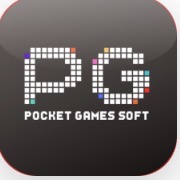 pg模拟器